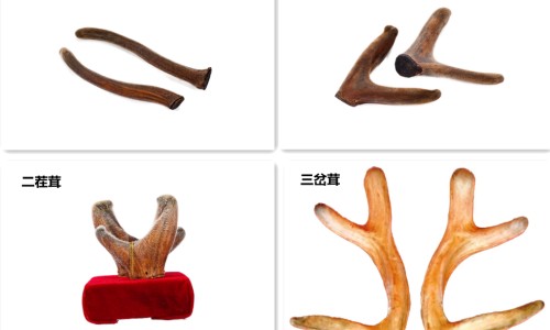 梦见脸上长出汗毛毛-梦见脸上长出汗毛网 - 网站提供梦见脸上长黑斑小常识、梦见脸上长毛是吉兆吗