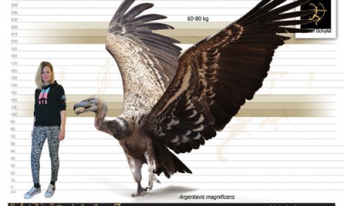 梦见脸上长出汗毛毛-梦见脸上长出汗毛网 - 网站提供梦见脸上长黑斑小常识、梦见脸上长毛是吉兆吗